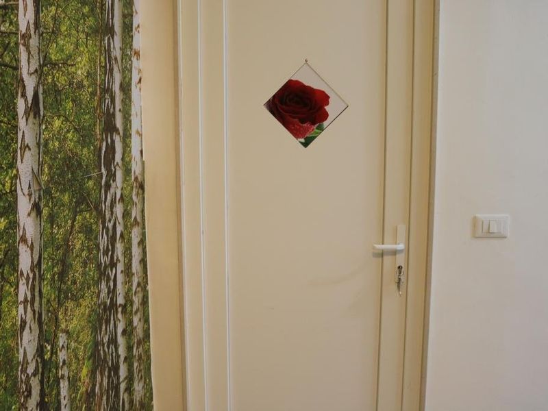 صورة الفندق 17