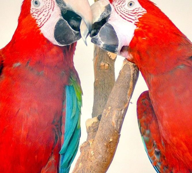 صورة الفندق 14