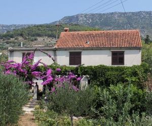 Apartments with a parking space Bol (Brac) - 5605 Bol Croatia