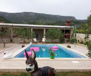 Holiday house with a swimming pool Bol (Brac) - 11016 Bol Croatia