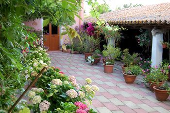 صورة الفندق 8