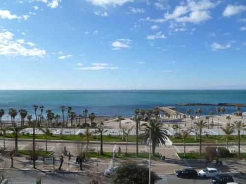 صورة الفندق 17