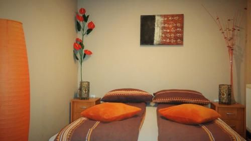 صورة الفندق 24