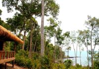 Отзывы Monkey Maya Ream National Park