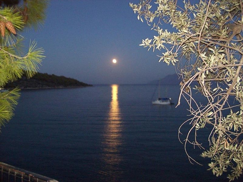 صورة الفندق 18