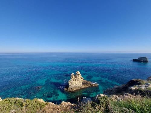 صورة الفندق 13