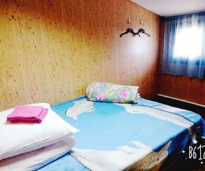 Hostel Berry Basket Irkutsk Russia