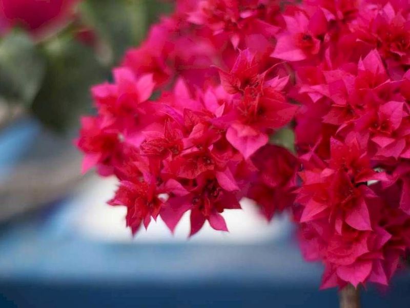 صورة الفندق 16
