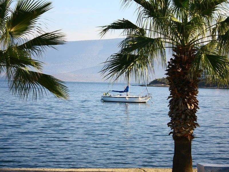 صورة الفندق 21
