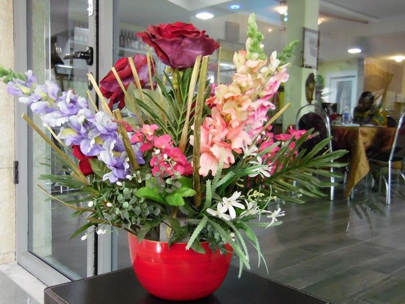 صورة الفندق 16