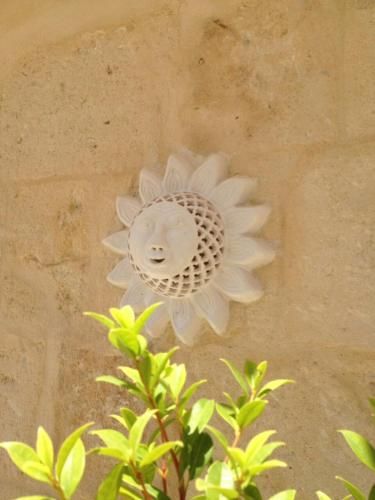 صورة الفندق 12