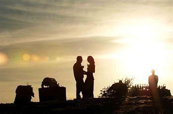 صورة الفندق 24