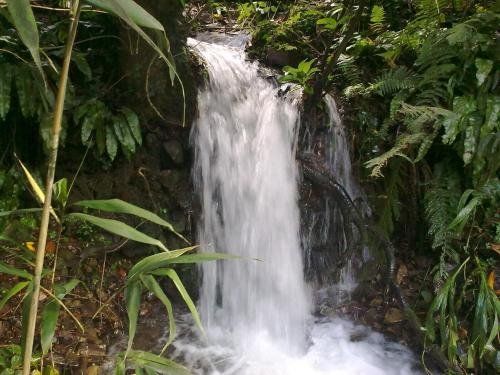 صورة الفندق 23
