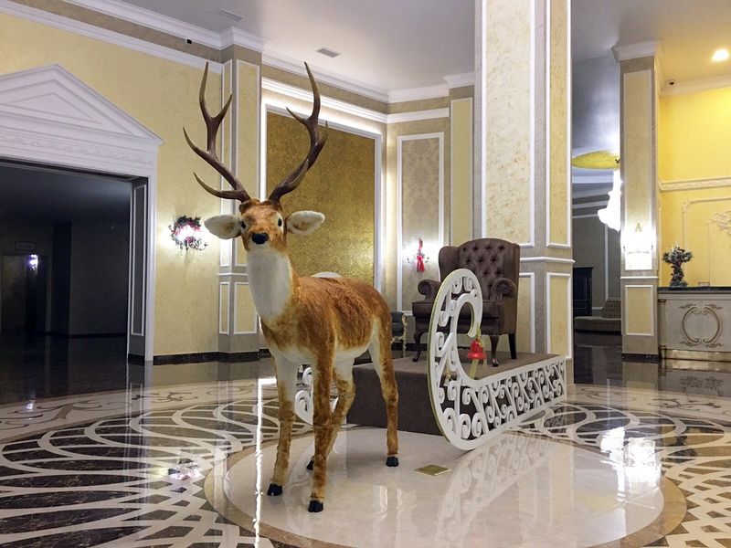 Hotel Photo 15