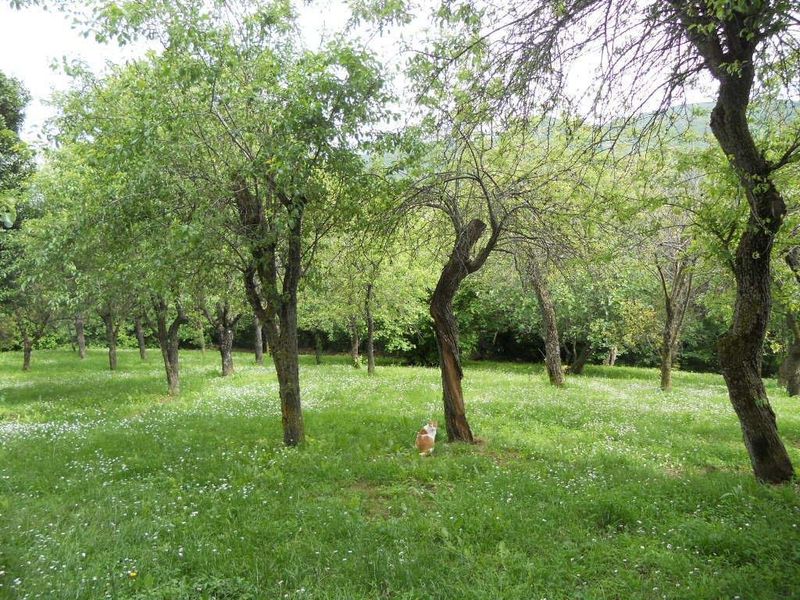 صورة الفندق 7