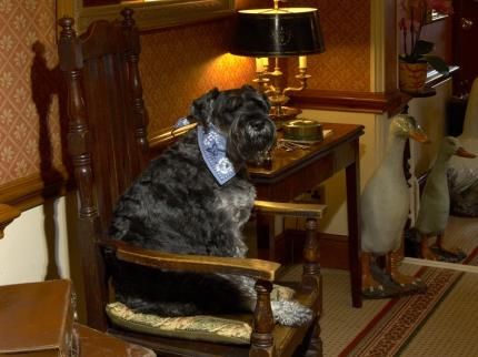Hotel Photo 14