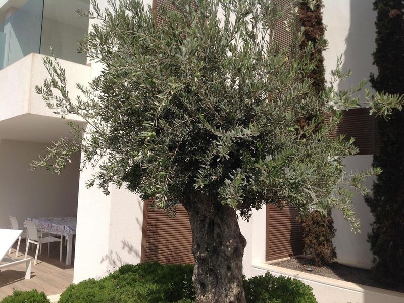 صورة الفندق 7