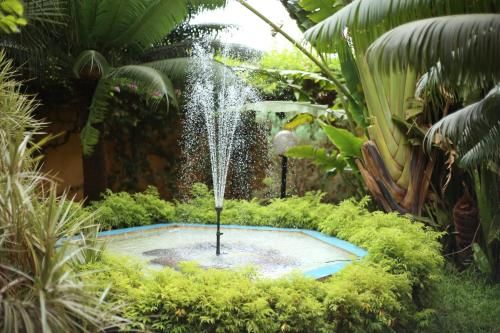 Hotel Photo 19