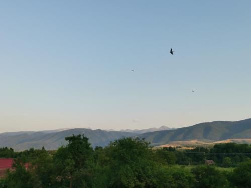 صورة الفندق 2
