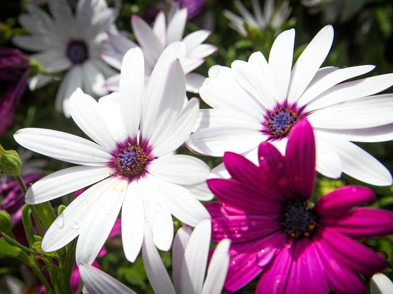 صورة الفندق 15