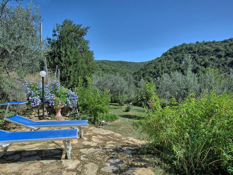 صورة الفندق 10