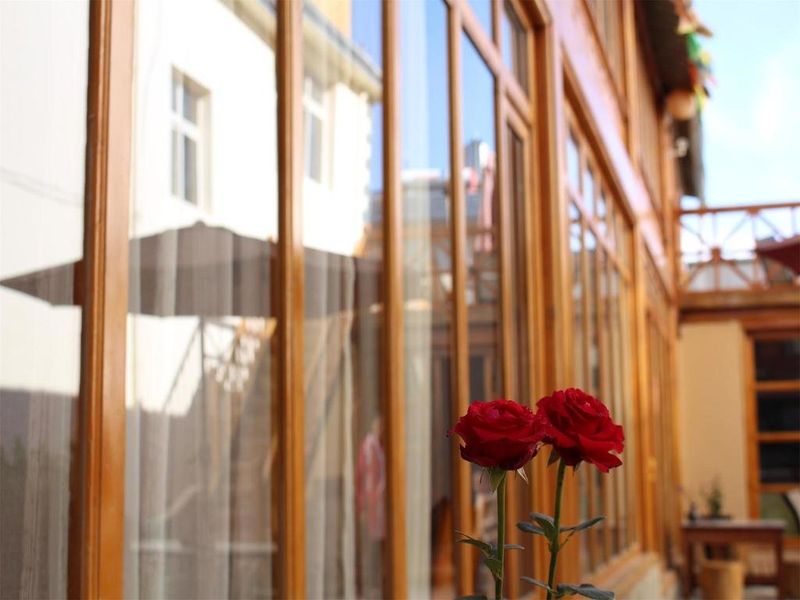 صورة الفندق 5