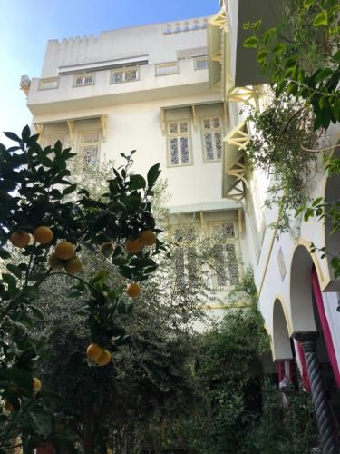 Hotel Photo 24