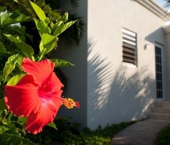 صورة الفندق 14