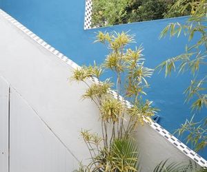 Samba Canuta Hostel Paraty Brazil