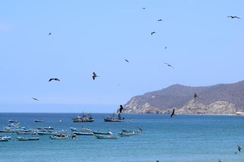 صورة الفندق 24