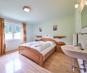 Appartement Schneider by HolidayFlats24 Viehhofen Austria