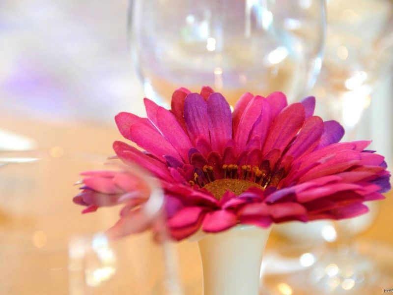 صورة الفندق 15