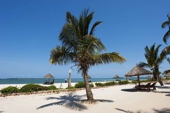 صورة الفندق 23