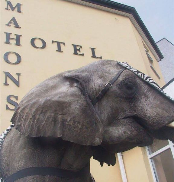 Hotel Photo 17