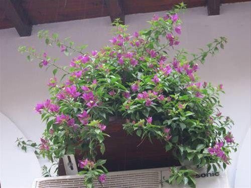صورة الفندق 14