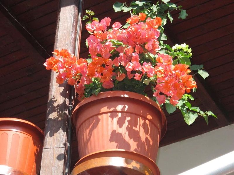 صورة الفندق 10