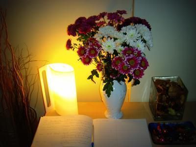 صورة الفندق 13