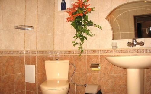 صورة الفندق 12