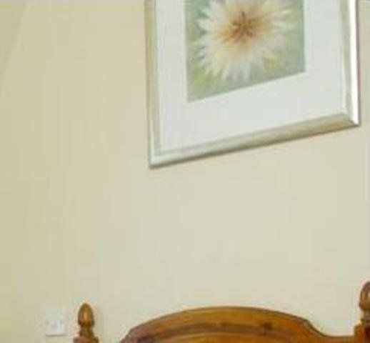 صورة الفندق 19