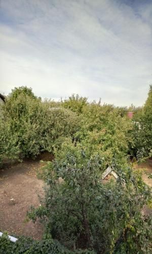 صورة الفندق 24
