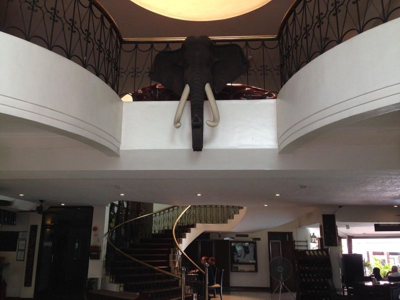 Hotel Photo 12