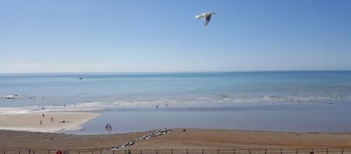 صورة الفندق 21