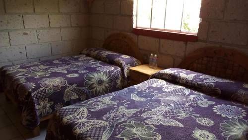 صورة الفندق 4