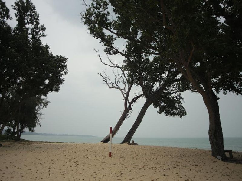 صورة الفندق 21