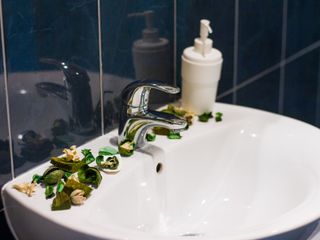 Реверанс СПб