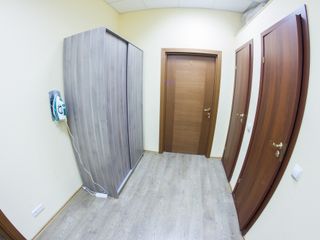 Реверанс СПб