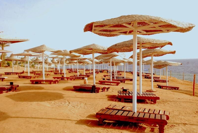 صورة الفندق 14