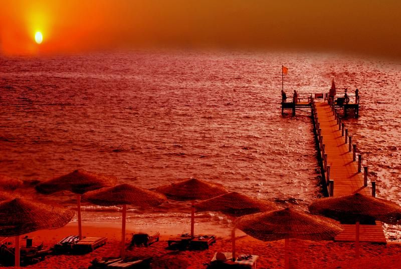 صورة الفندق 16
