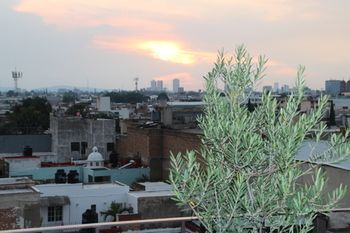 صورة الفندق 23