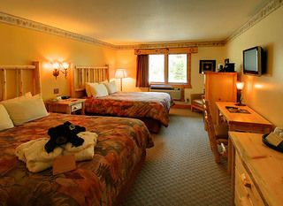 Hotel pic Spearfish Canyon Lodge